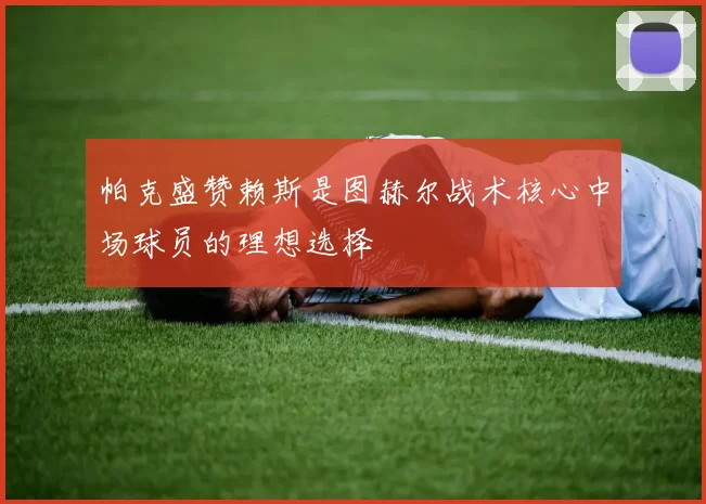 帕克盛赞赖斯是图赫尔战术核心中场球员的理想选择