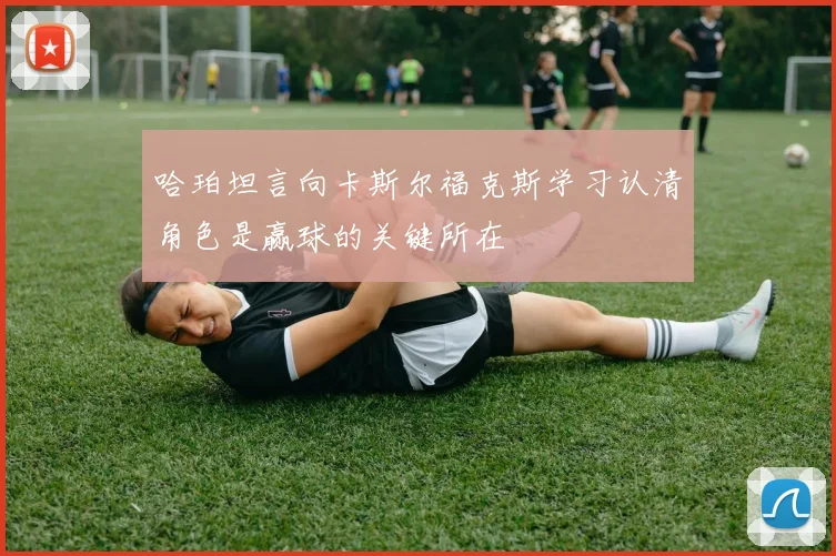 哈珀坦言向卡斯尔福克斯学习认清角色是赢球的关键所在